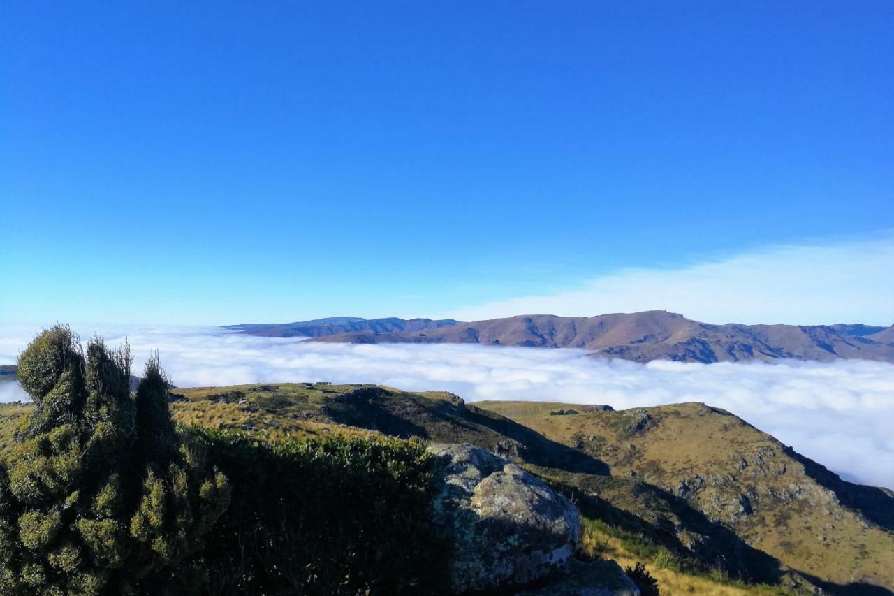Sea Views In Luxury At Lyttelton Boatique House - 14 Km From Christchurch Экстерьер фото